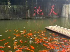 -千岛湖东南湖区