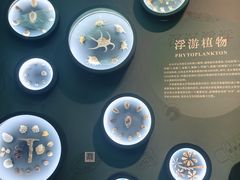-中国湿地博物馆