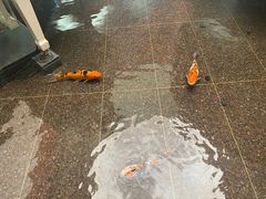 -皇冠明珠鱼翅楼(水上公园店)