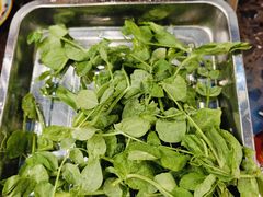 -金鼎雪山牦牛杂火锅(理县总店)