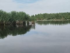 -白洋淀景区