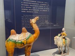 -镇江博物馆