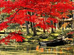 -西芳寺(苔寺)