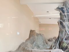 -宁波野生动物园