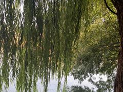 -中国翰园碑林