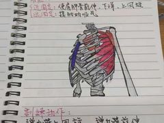 -冠军健身