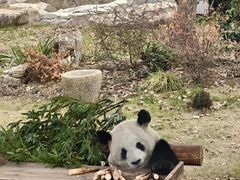 -无锡动物园·太湖欢乐园