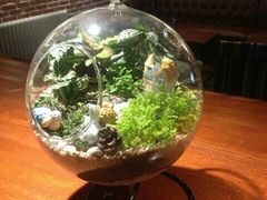 -好利来(柳北店)