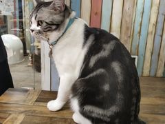 -小时光咖啡馆(开森度假森林店)