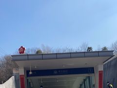 -紫金山山顶公园
