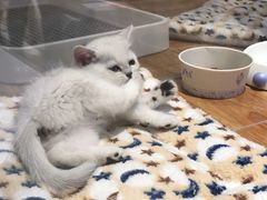 -狗道宠物(常熟印象城店)