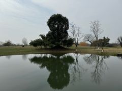 -良渚古城遗址公园