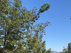-青龙湖公园