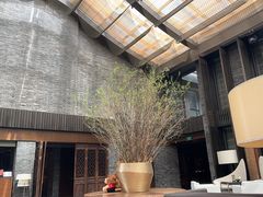-成都观隐颐云台酒店-芳菲秀