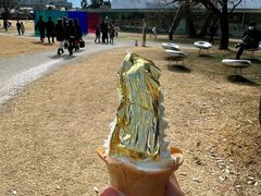 -金泽21世纪美术馆