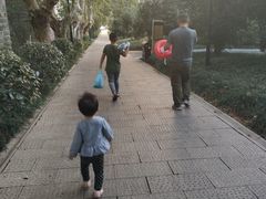 -深业半汤御泉庄温泉