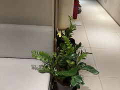 -泰合玺·精油疗愈 SPA(南京河西万达店)