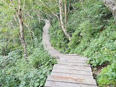 -白草畔自然风景区