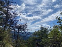 -终南山国家森林公园