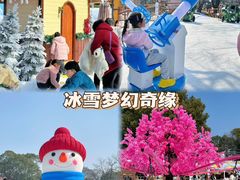 -无锡梅园公园