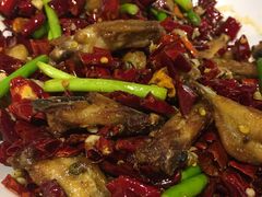 干锅鸡中翅-蛙蛙叫干锅年代(簋街总店)
