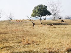 -良渚古城遗址公园