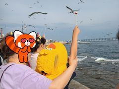 -星海广场