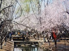 -三里河公园