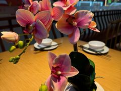 -卞氏菜根香(青羊万达店)