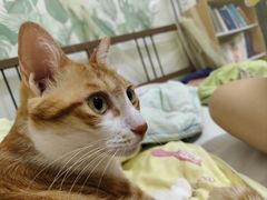 -芭比堂动物医院·24小时·眼科中心(深圳中心)