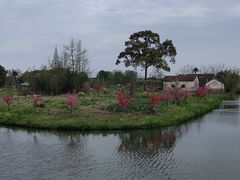 -嘉北郊野公园