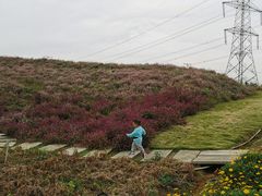 -紫颐香薰山谷景区