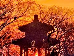 -颐和园