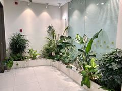 -观心实验室·心理咨询(上海旗舰店)
