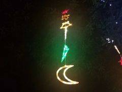 -上海浦东星河湾酒店