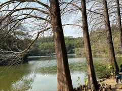 -深圳仙湖植物园