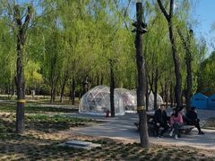 -野鸭湖国家湿地公园