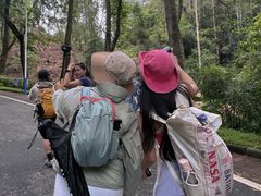 -火炉山森林公园