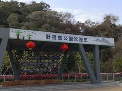 -野狸岛