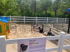 -齐齐哈尔龙沙动植物园