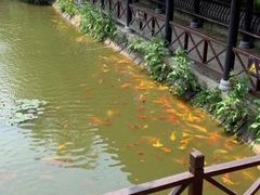 -武汉紫薇都市田园