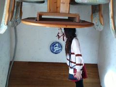 -金山农民画村-枫泾波兰倒置屋