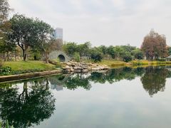 -四海公园(南山区)