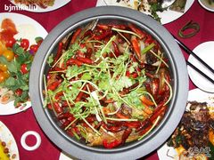 印度阿三的鱼头2-甲21号招待所