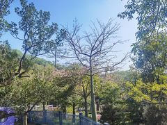 -云溪植物园