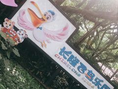 -广州长隆飞鸟乐园