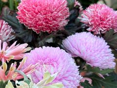 -花屿鲜花(淡水店)