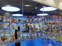 -贝+跆拳道(新天地道馆)