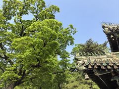 -潭柘寺景区