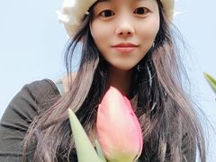 -秀丽东方